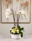 White Holiday Elegance Orchid Pairing from Green Fresh Florals + Plants