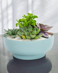 Air Blue Crystal Succulent Garden - Green Fresh Florals + Plants