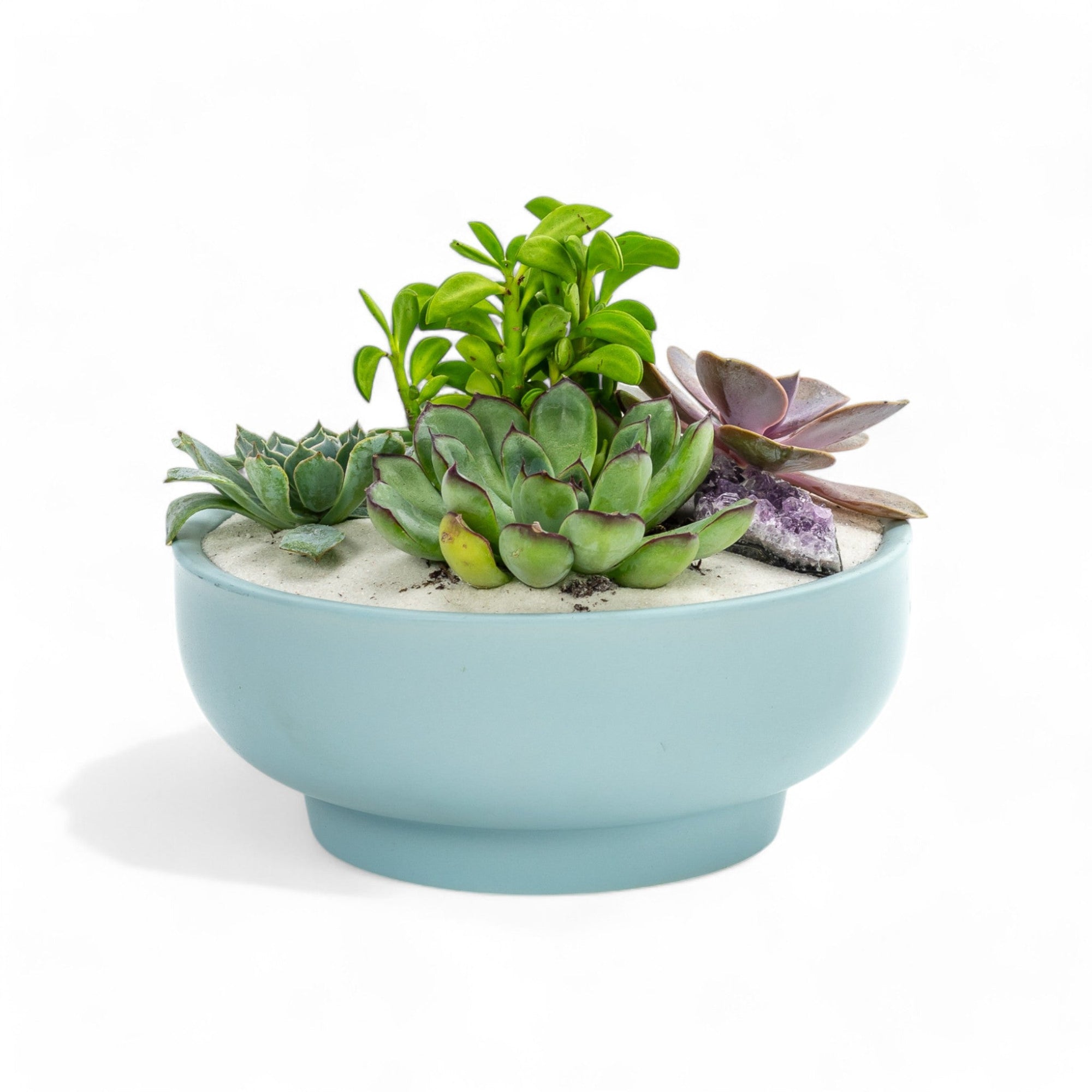 Air Blue Crystal Succulent Garden - Green Fresh Florals + Plants