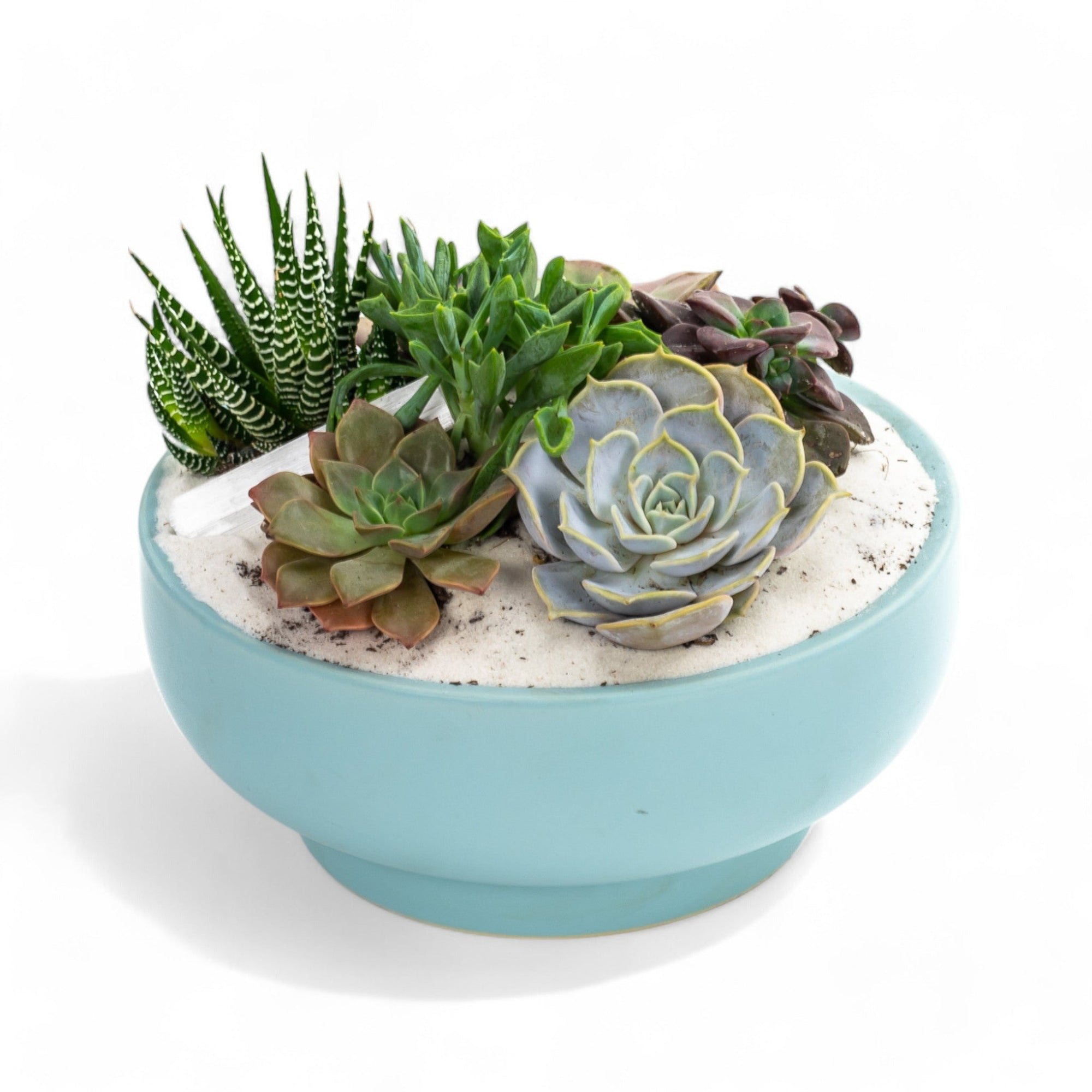 Air Blue Crystal Succulent Garden - Green Fresh Florals + Plants