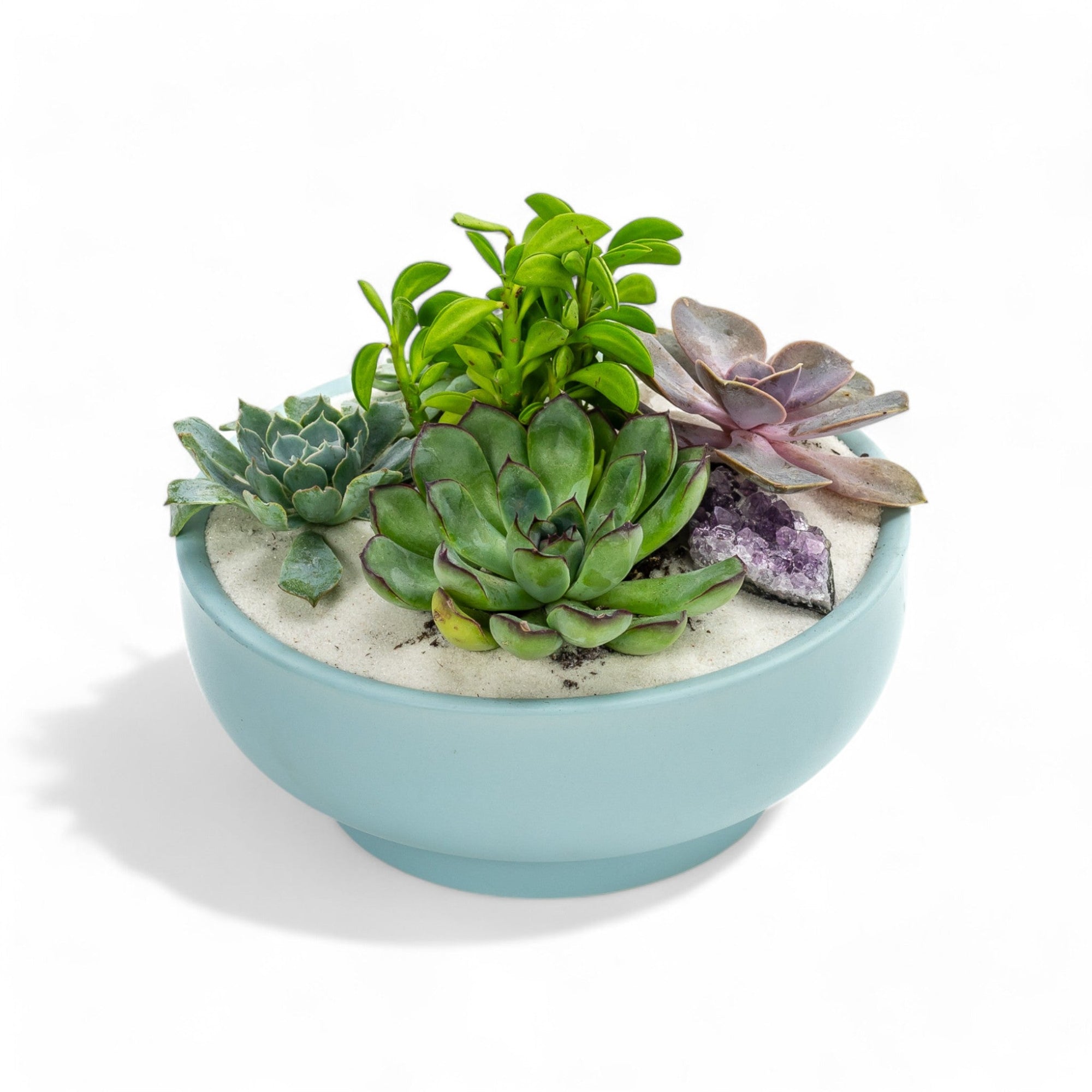 Air Blue Crystal Succulent Garden - Green Fresh Florals + Plants