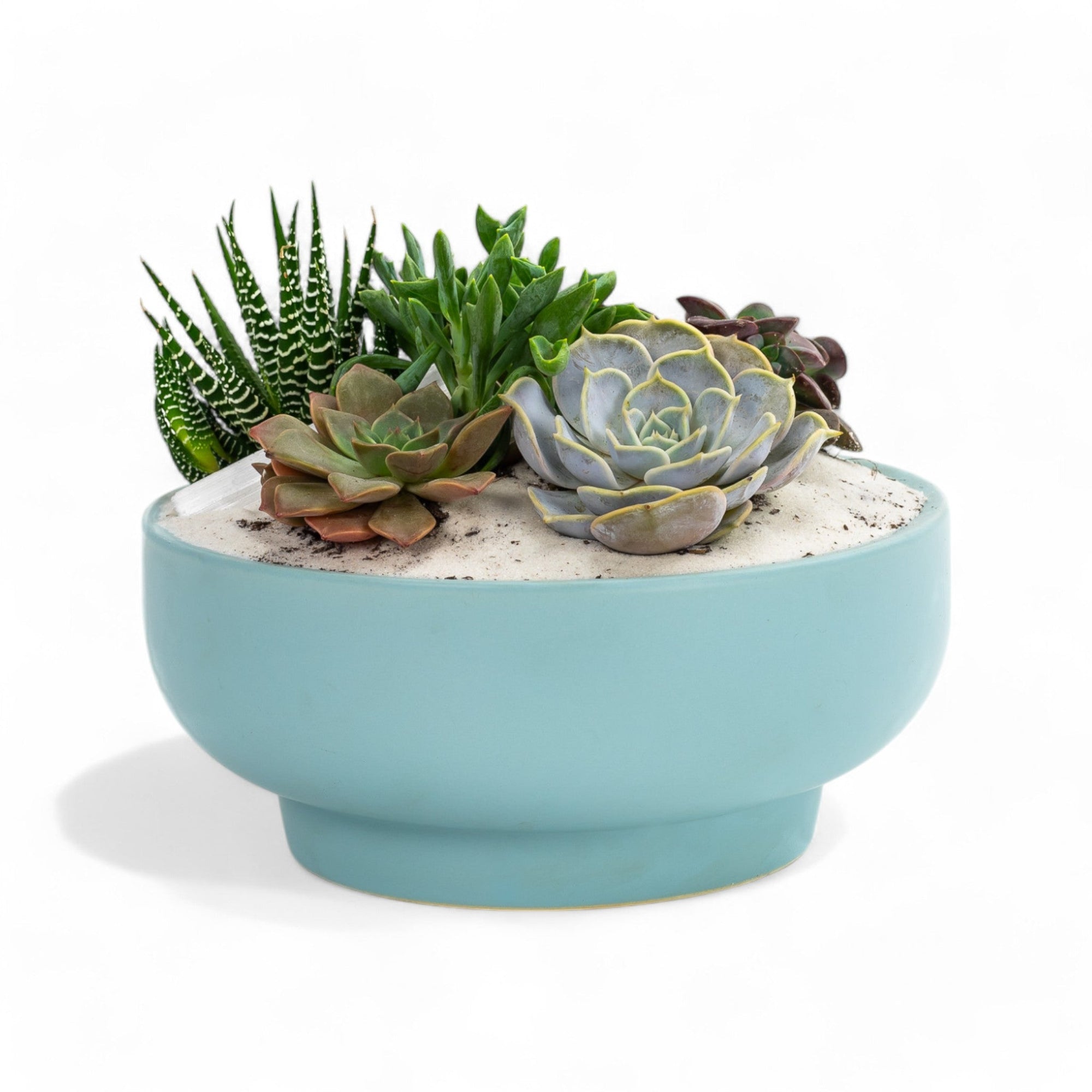 Air Blue Crystal Succulent Garden - Green Fresh Florals + Plants