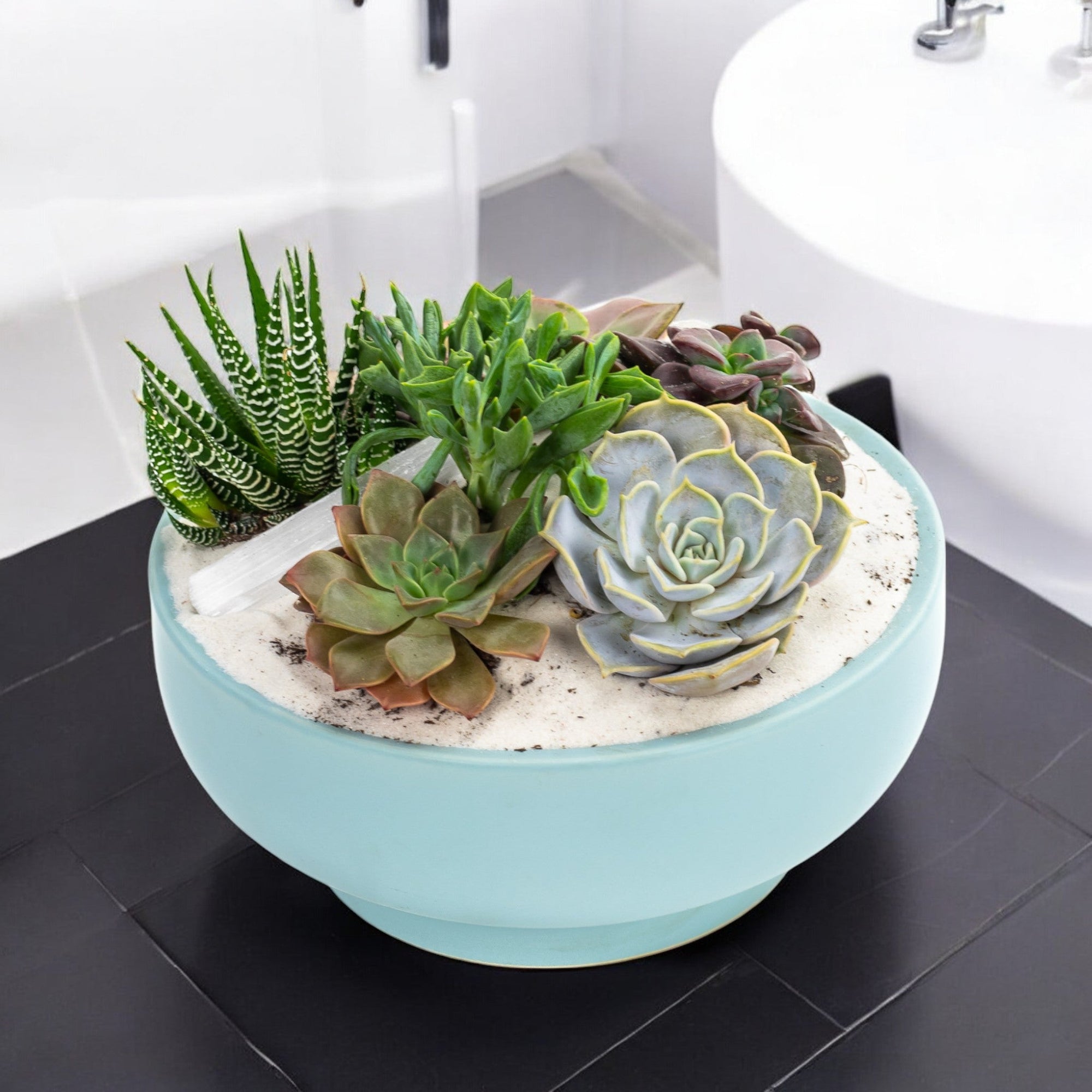 Air Blue Crystal Succulent Garden - Green Fresh Florals + Plants