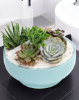 Air Blue Crystal Succulent Garden - Green Fresh Florals + Plants