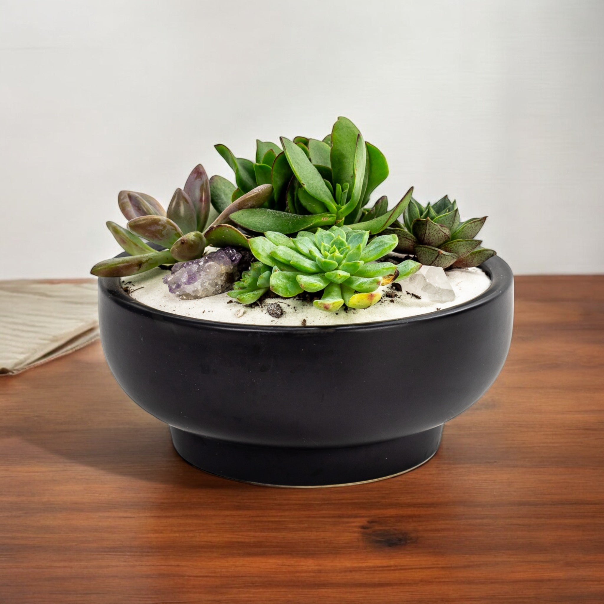 Black Crystal Succulent Garden - Green Fresh Florals + Plants