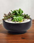 Black Crystal Succulent Garden - Green Fresh Florals + Plants