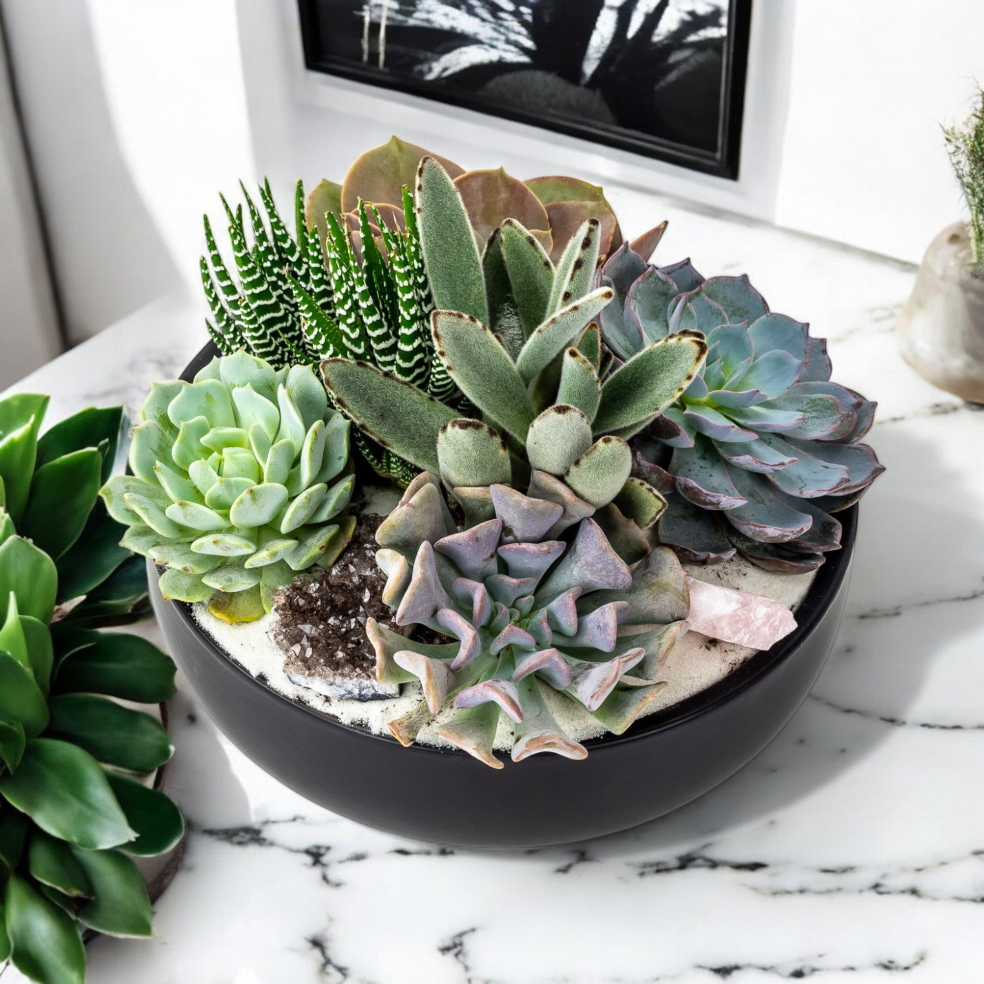 Black Crystal Succulent Garden - Green Fresh Florals + Plants