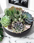 Black Crystal Succulent Garden - Green Fresh Florals + Plants