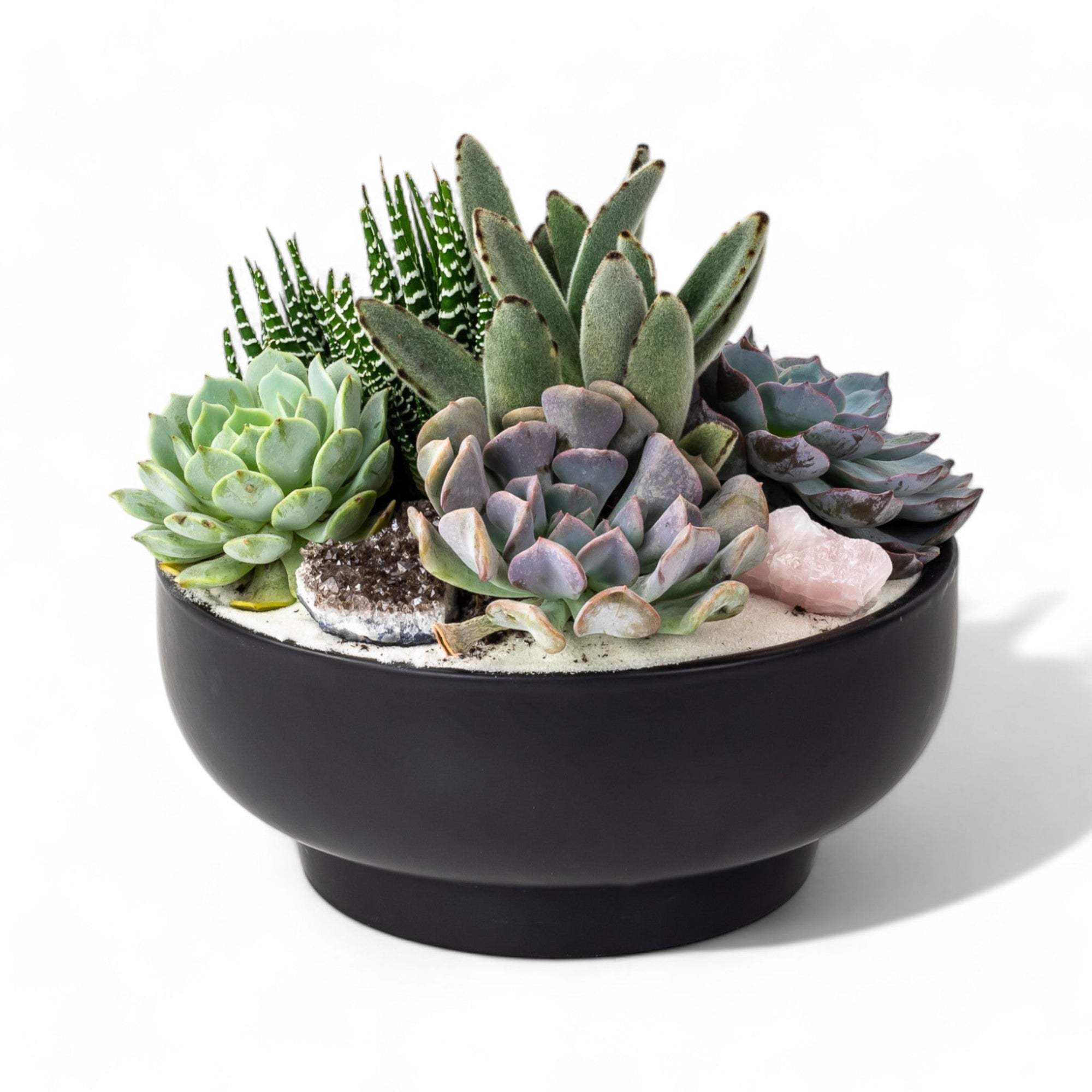 Black Crystal Succulent Garden - Green Fresh Florals + Plants