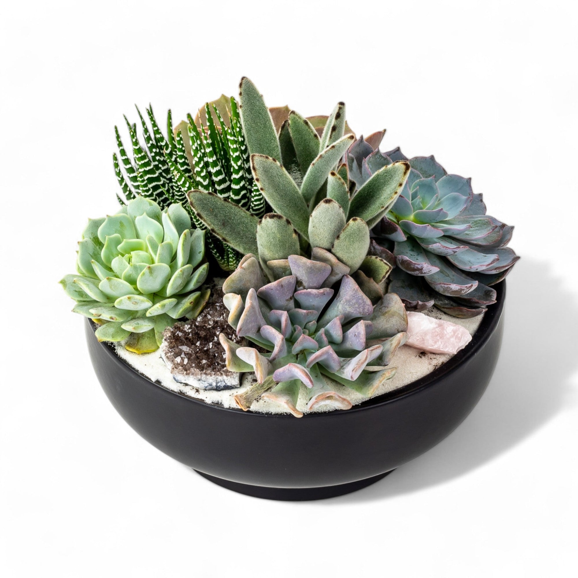 Black Crystal Succulent Garden - Green Fresh Florals + Plants