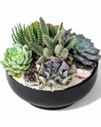 Black Crystal Succulent Garden - Green Fresh Florals + Plants