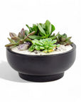 Black Crystal Succulent Garden - Green Fresh Florals + Plants