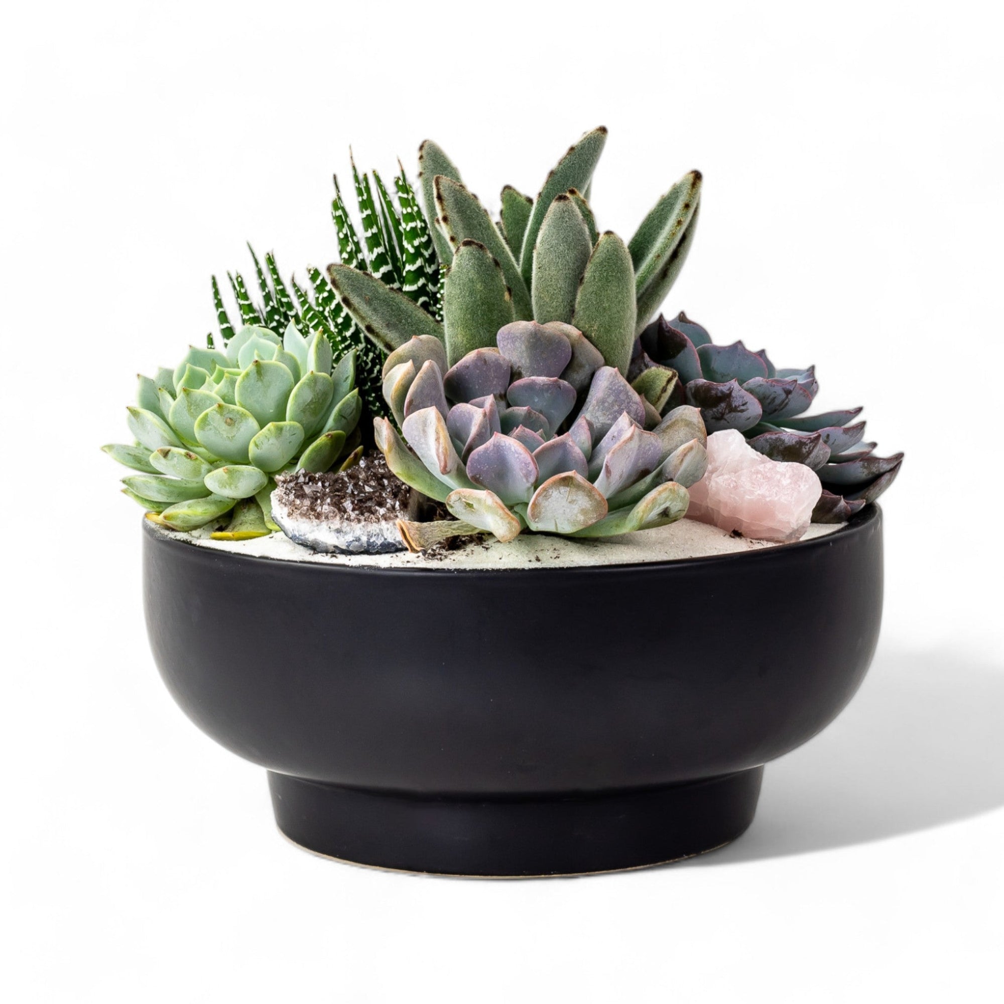 Black Crystal Succulent Garden - Green Fresh Florals + Plants