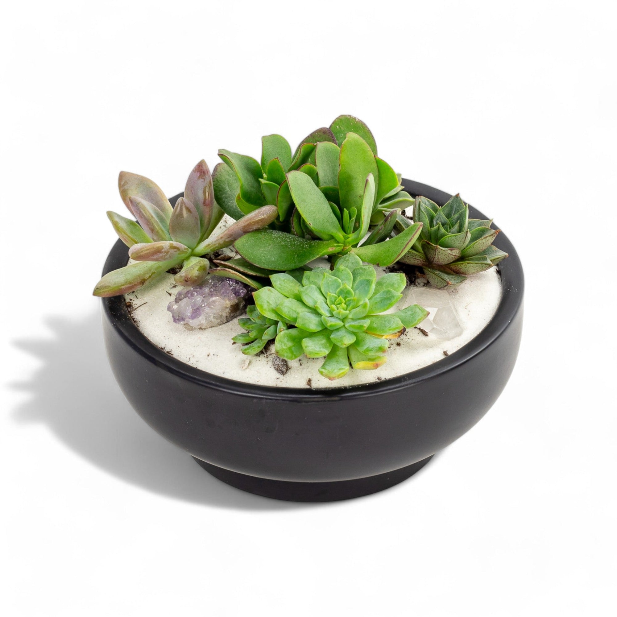 Black Crystal Succulent Garden - Green Fresh Florals + Plants