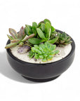 Black Crystal Succulent Garden - Green Fresh Florals + Plants