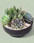 Black Crystal Succulent Garden - Green Fresh Florals + Plants