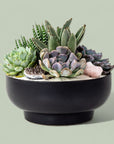 Black Crystal Succulent Garden - Green Fresh Florals + Plants