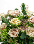 Blush Long - Stem Roses - Green Fresh Florals + Plants