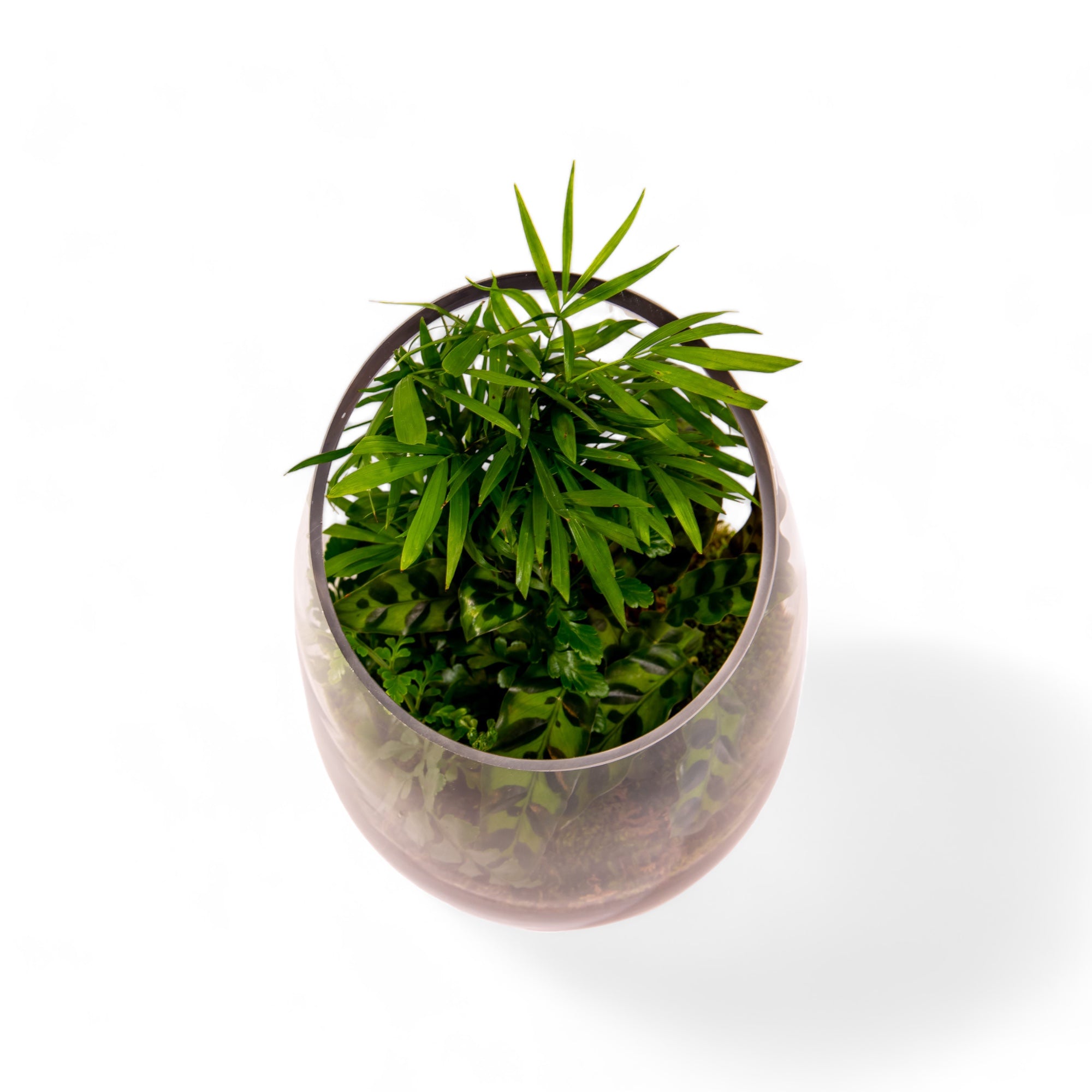 Bullet Vase Terrarium - Green Fresh Florals + Plants