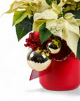 Classic Holiday Poinsettia Planting - Green Fresh Florals + Plants