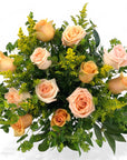 Coral Long - Stem Roses - Green Fresh Florals + Plants