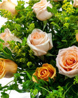 Coral Long - Stem Roses - Green Fresh Florals + Plants