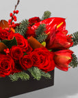 Crimson Rose & Amaryllis Luxe Centerpiece - Green Fresh Florals + Plants