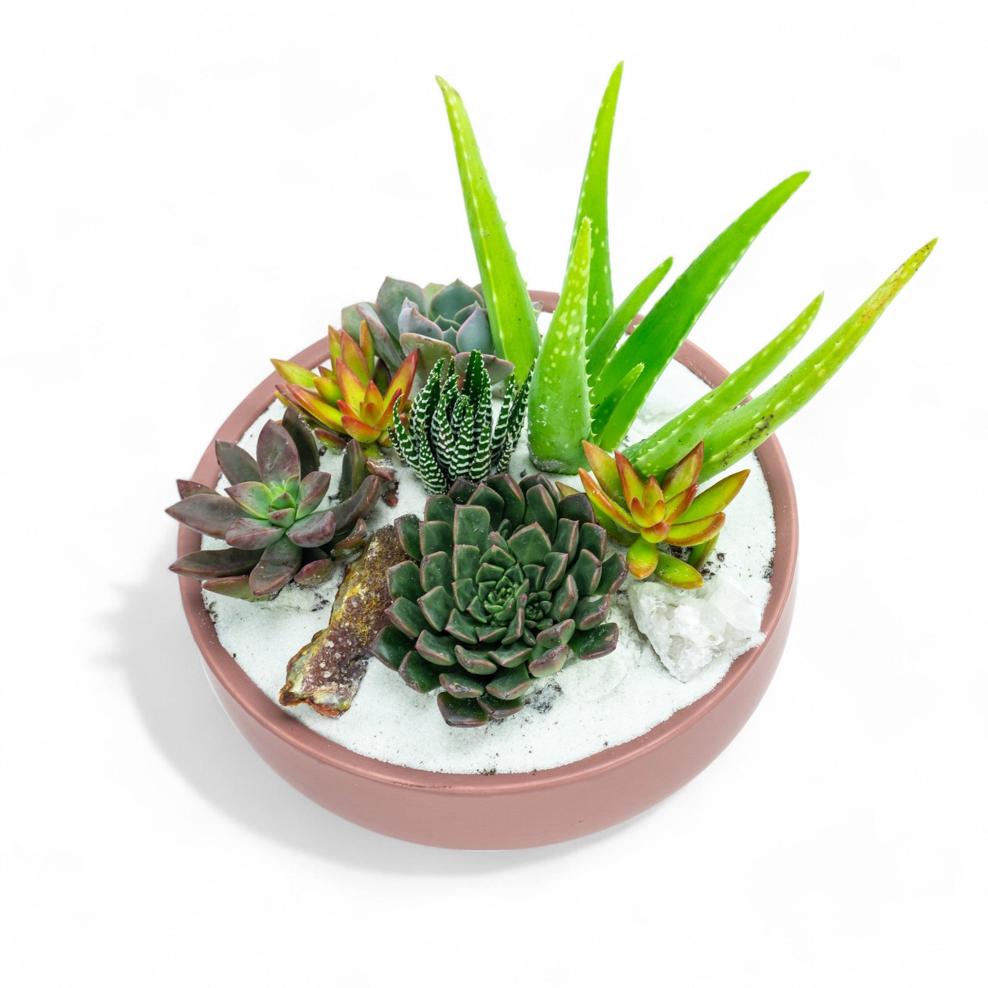 Dusty Rose Crystal Succulent Garden - Green Fresh Florals + Plants