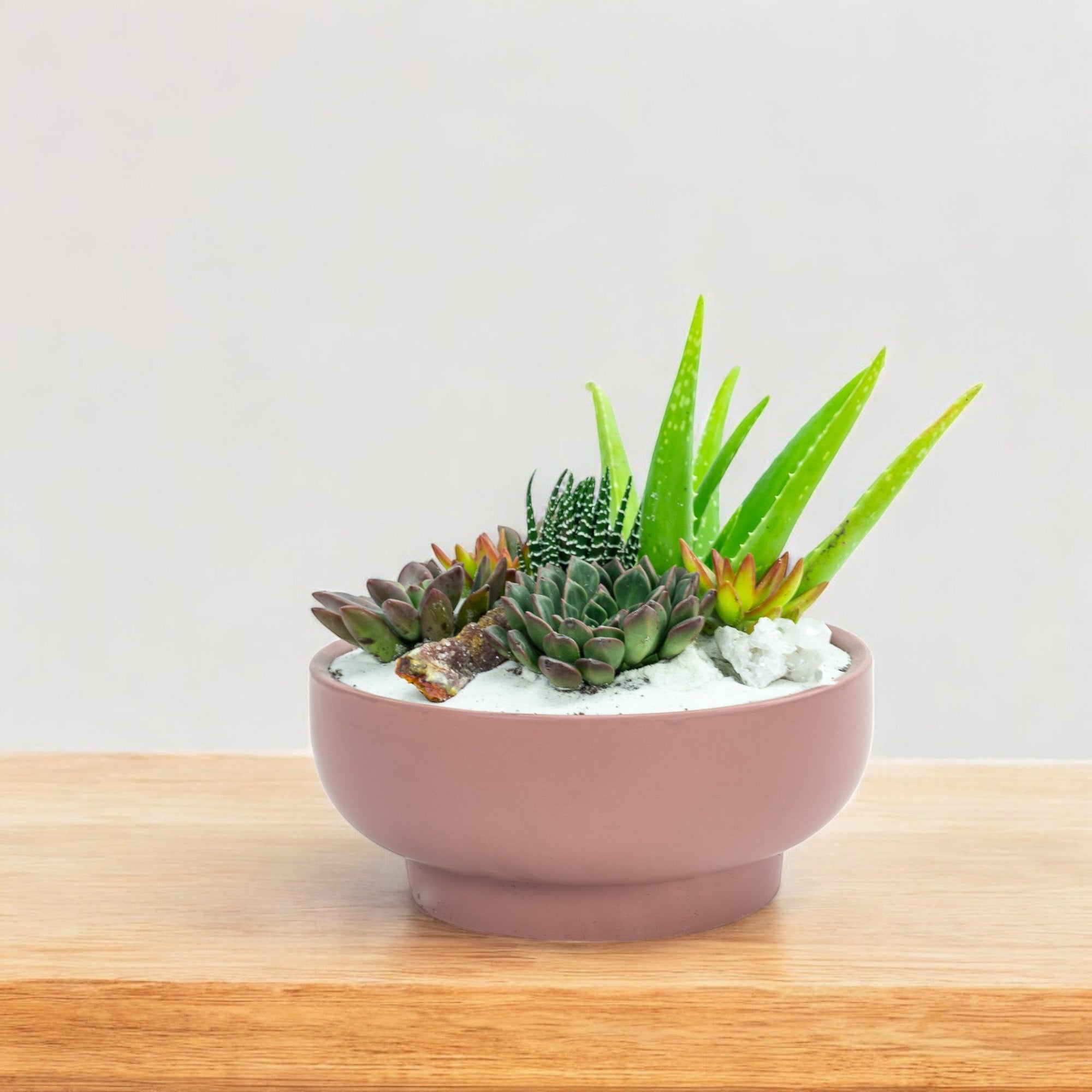 Dusty Rose Crystal Succulent Garden - Green Fresh Florals + Plants