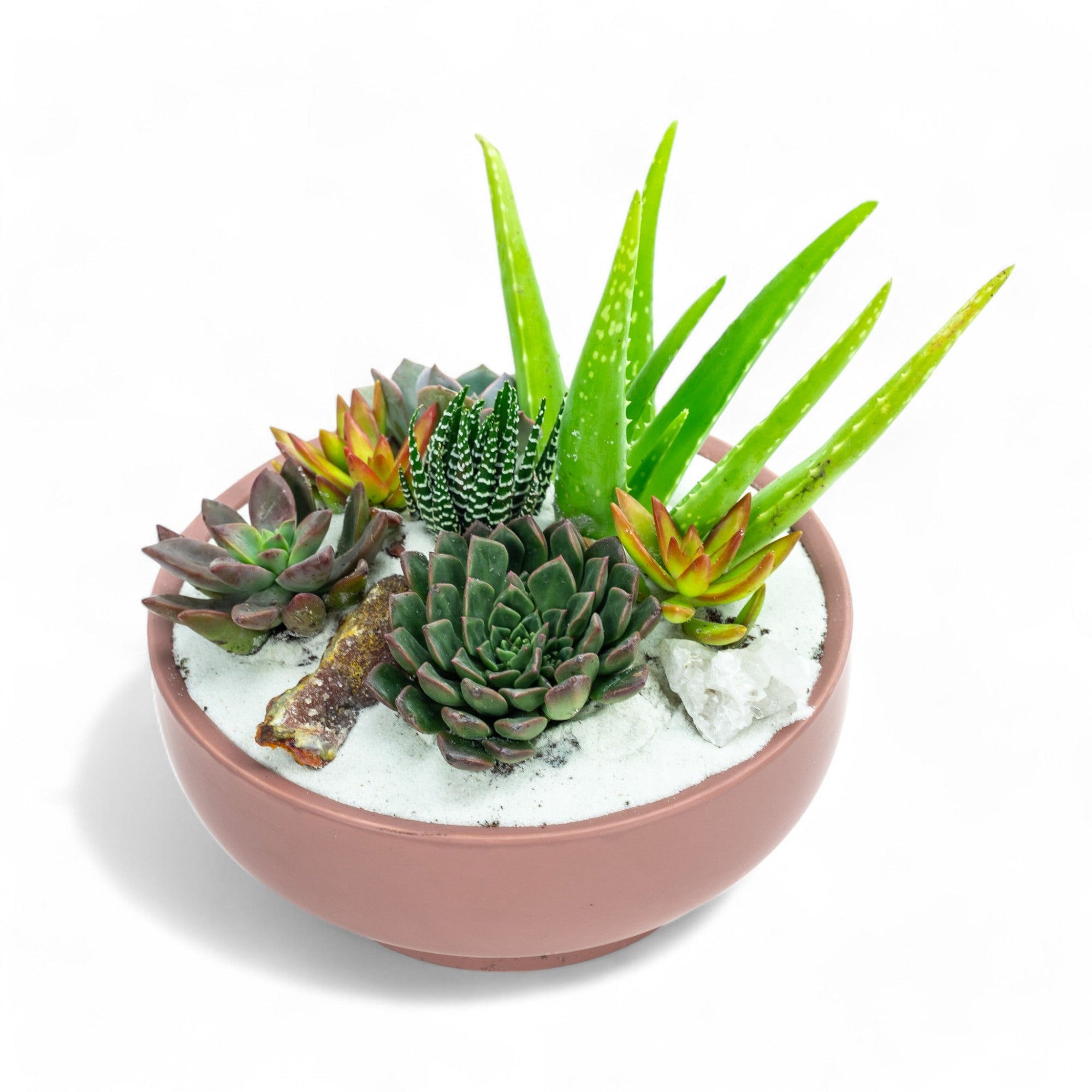 Dusty Rose Crystal Succulent Garden - Green Fresh Florals + Plants