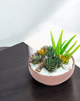 Dusty Rose Crystal Succulent Garden - Green Fresh Florals + Plants