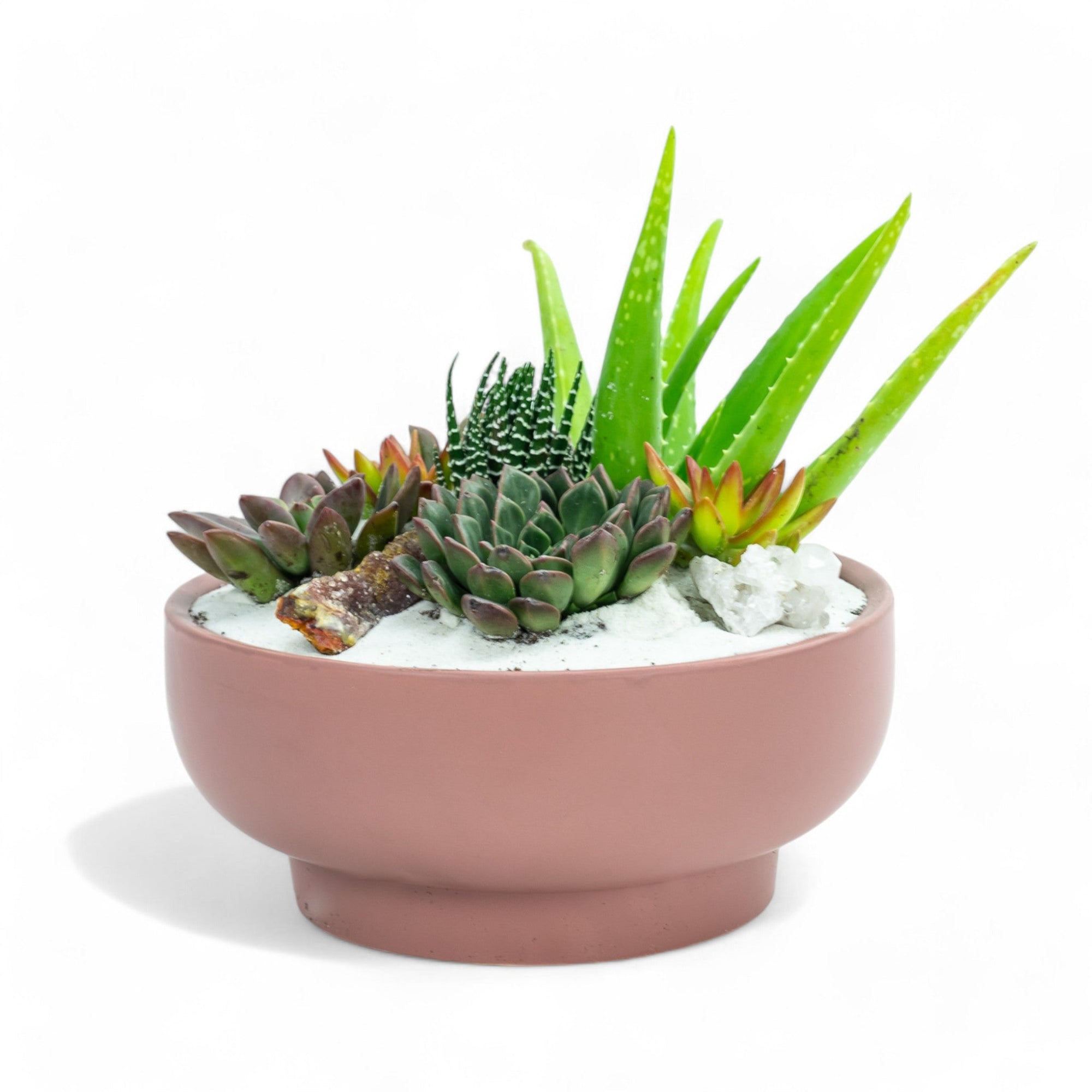 Dusty Rose Crystal Succulent Garden - Green Fresh Florals + Plants