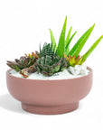 Dusty Rose Crystal Succulent Garden - Green Fresh Florals + Plants