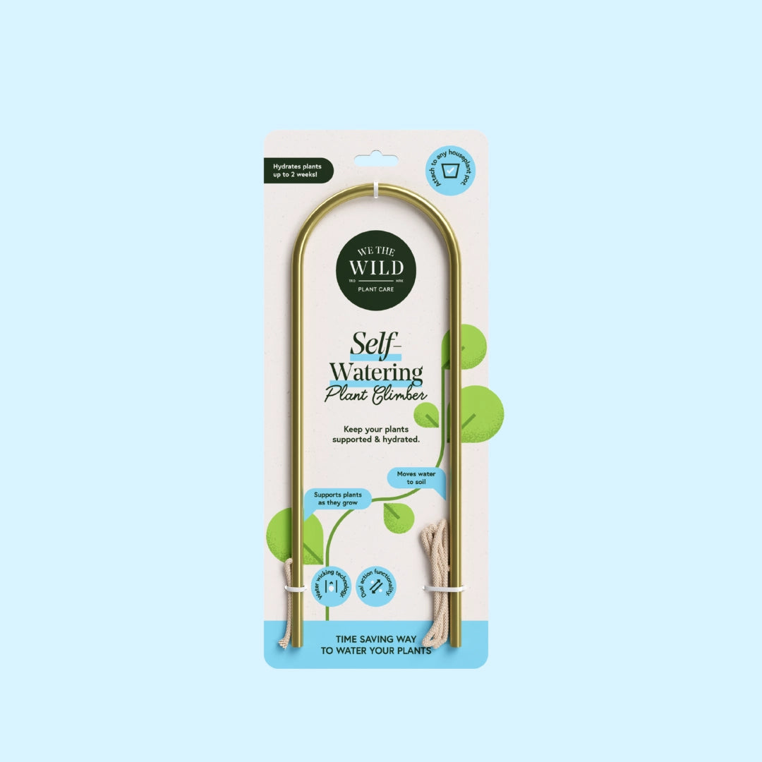 Self-Watering Plant Climber from Green Fresh Florals + Plants