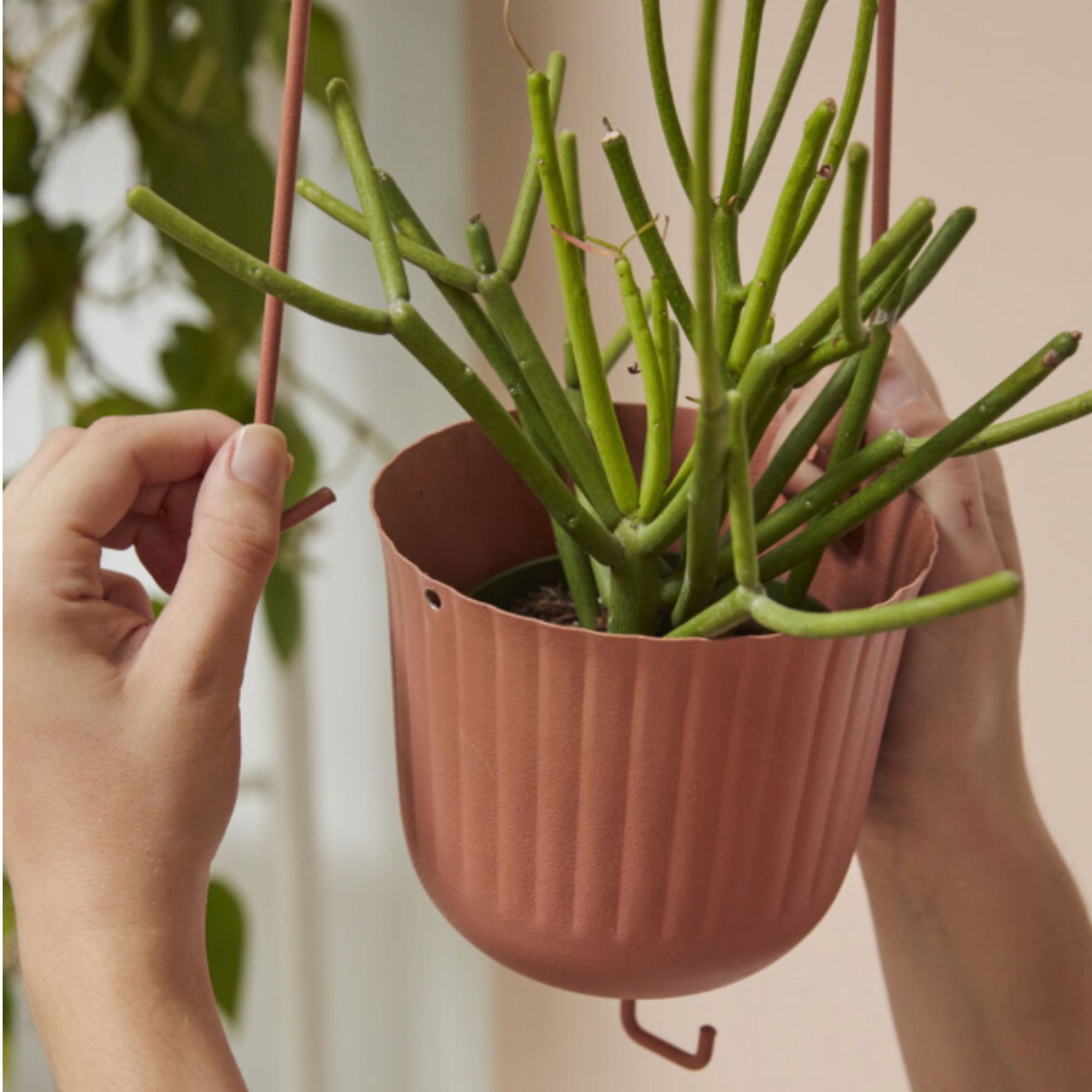 Gemini Hanging Pot - Green Fresh Florals + Plants