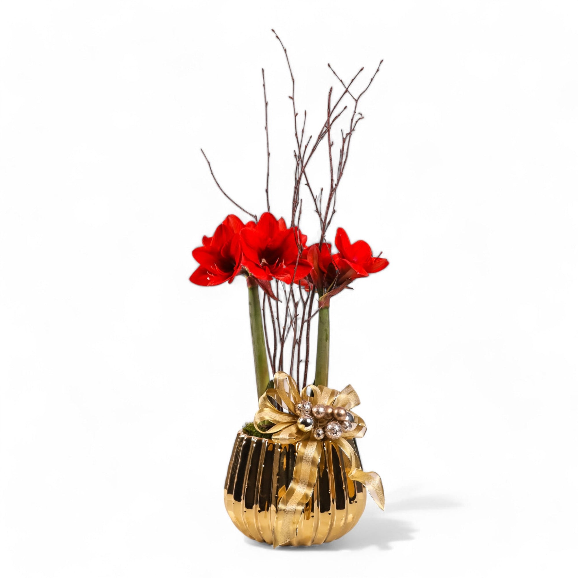 Golden Amaryllis Planting - Green Fresh Florals + Plants