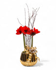 Golden Amaryllis Planting - Green Fresh Florals + Plants