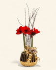 Golden Amaryllis Planting - Green Fresh Florals + Plants