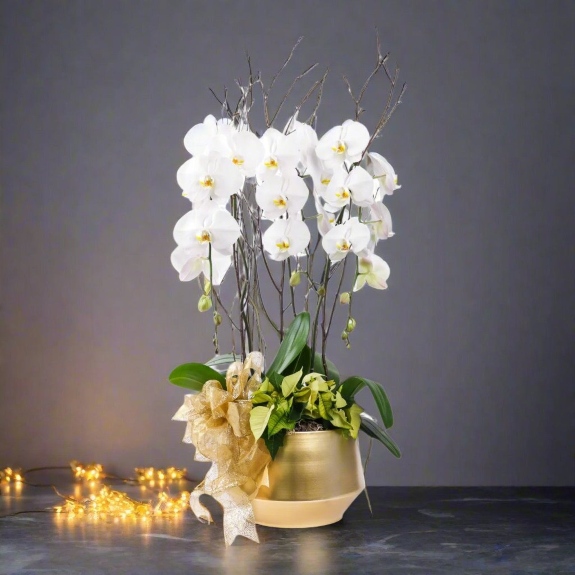 Golden Elegance Orchid Pairing - Green Fresh Florals + Plants