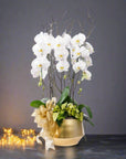 Golden Elegance Orchid Pairing - Green Fresh Florals + Plants