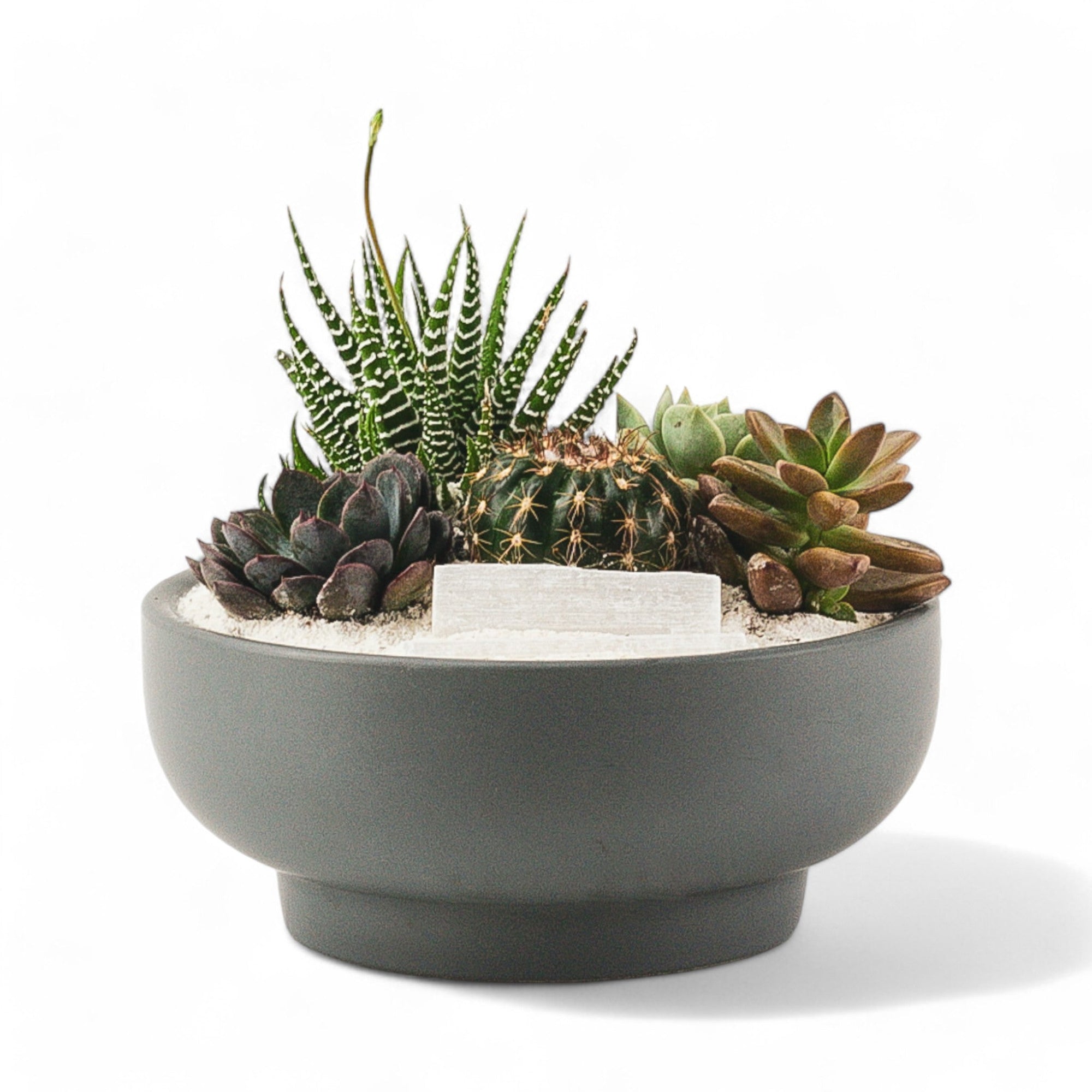 Granite Crystal Succulent Garden - Green Fresh Florals + Plants