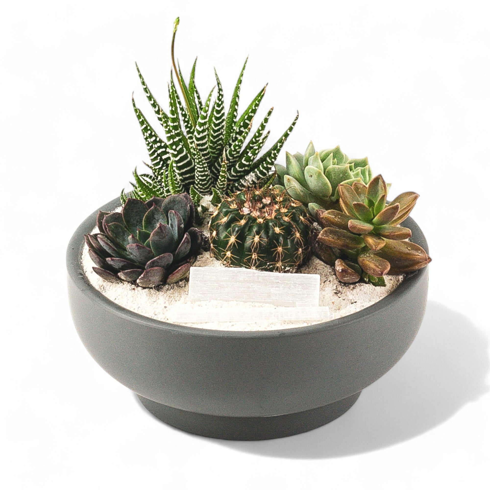 Granite Crystal Succulent Garden - Green Fresh Florals + Plants