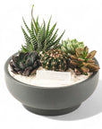 Granite Crystal Succulent Garden - Green Fresh Florals + Plants