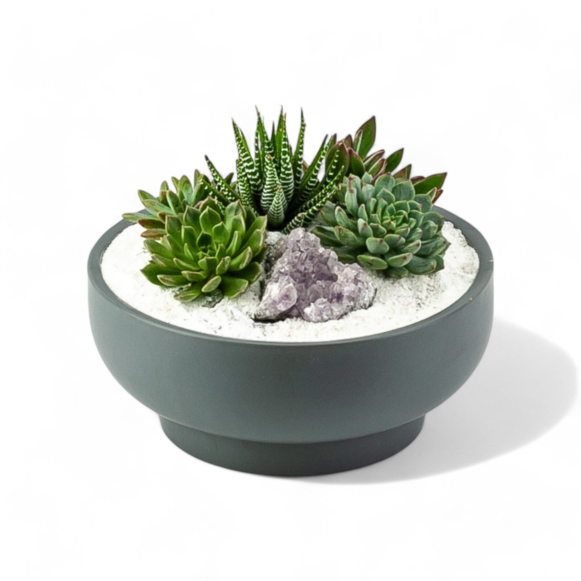 Granite Crystal Succulent Garden - Green Fresh Florals + Plants