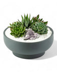 Granite Crystal Succulent Garden - Green Fresh Florals + Plants