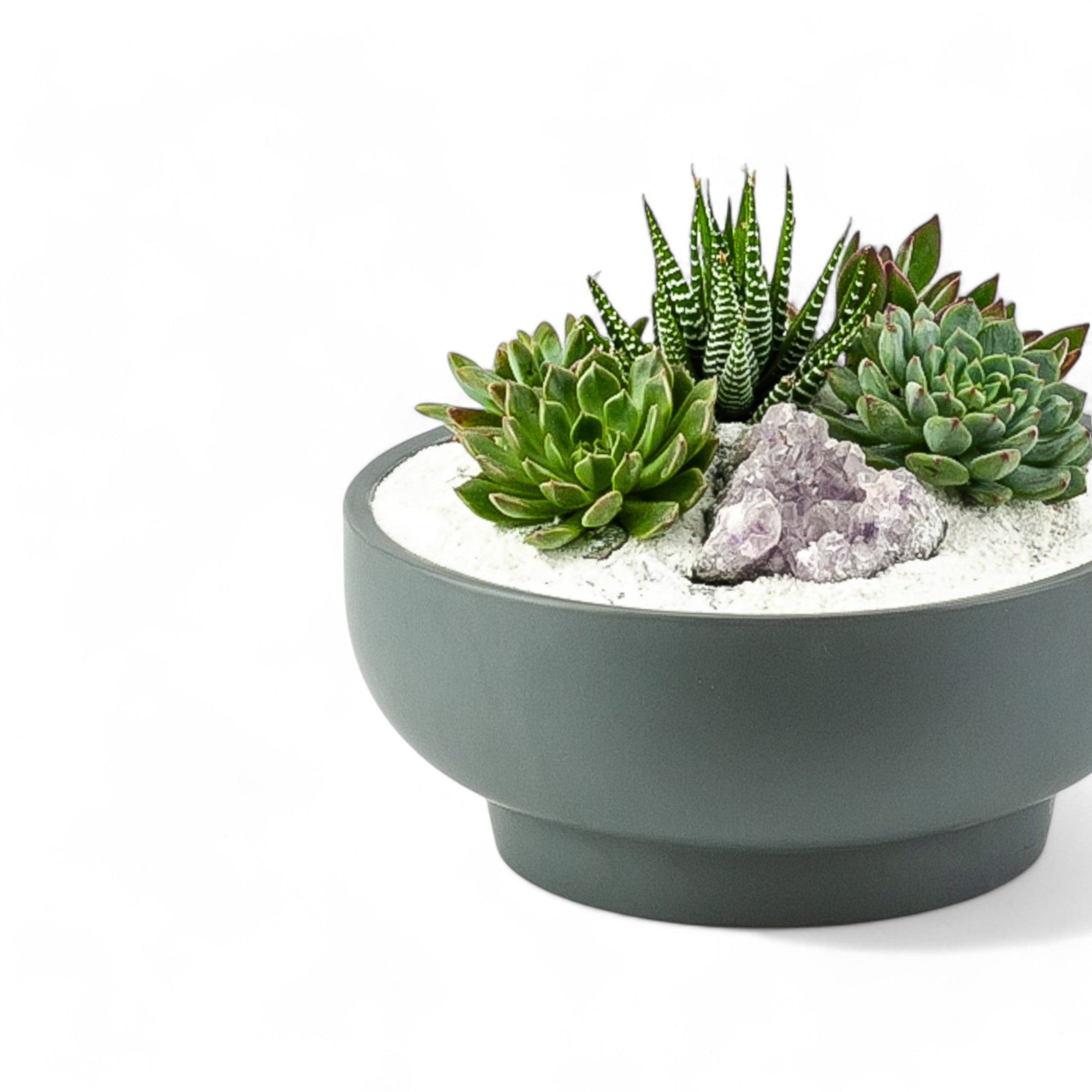 Granite Crystal Succulent Garden - Green Fresh Florals + Plants