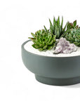 Granite Crystal Succulent Garden - Green Fresh Florals + Plants