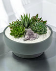 Granite Crystal Succulent Garden - Green Fresh Florals + Plants