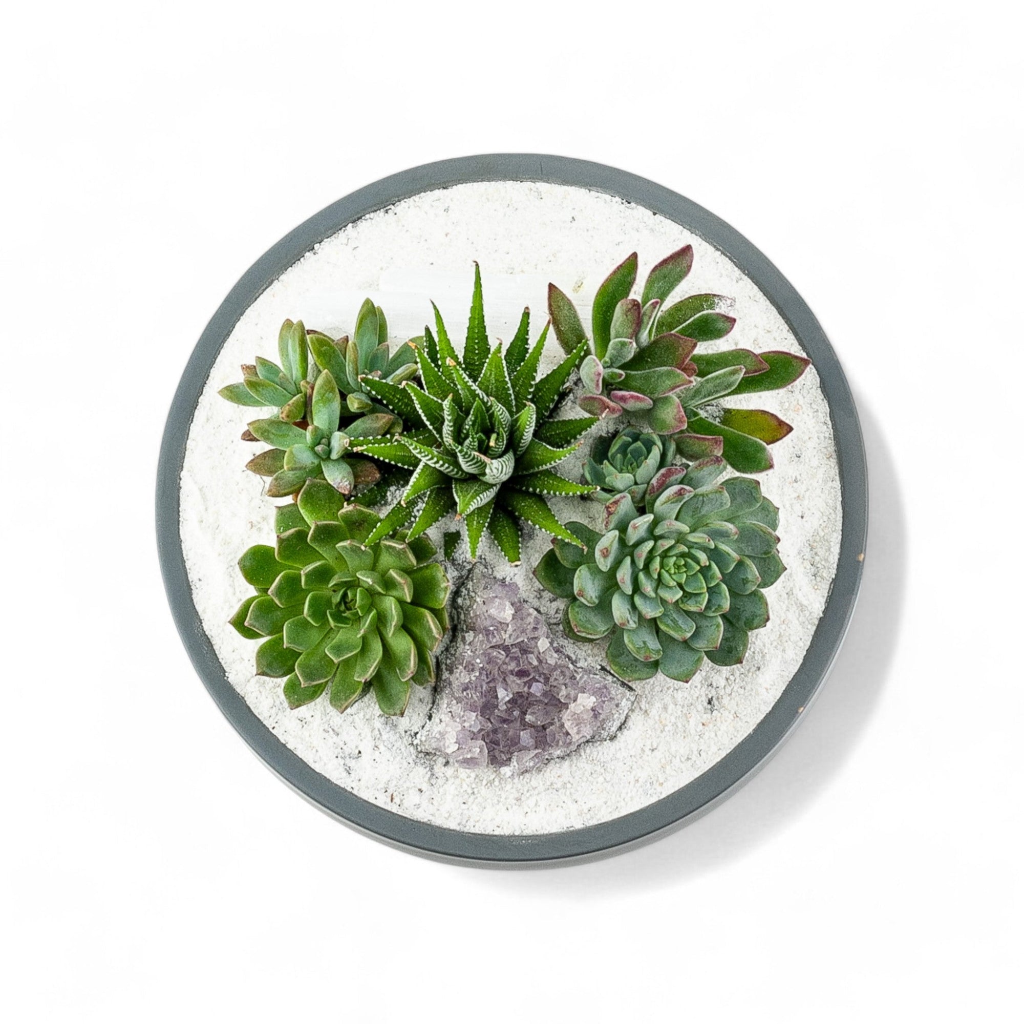 Granite Crystal Succulent Garden - Green Fresh Florals + Plants