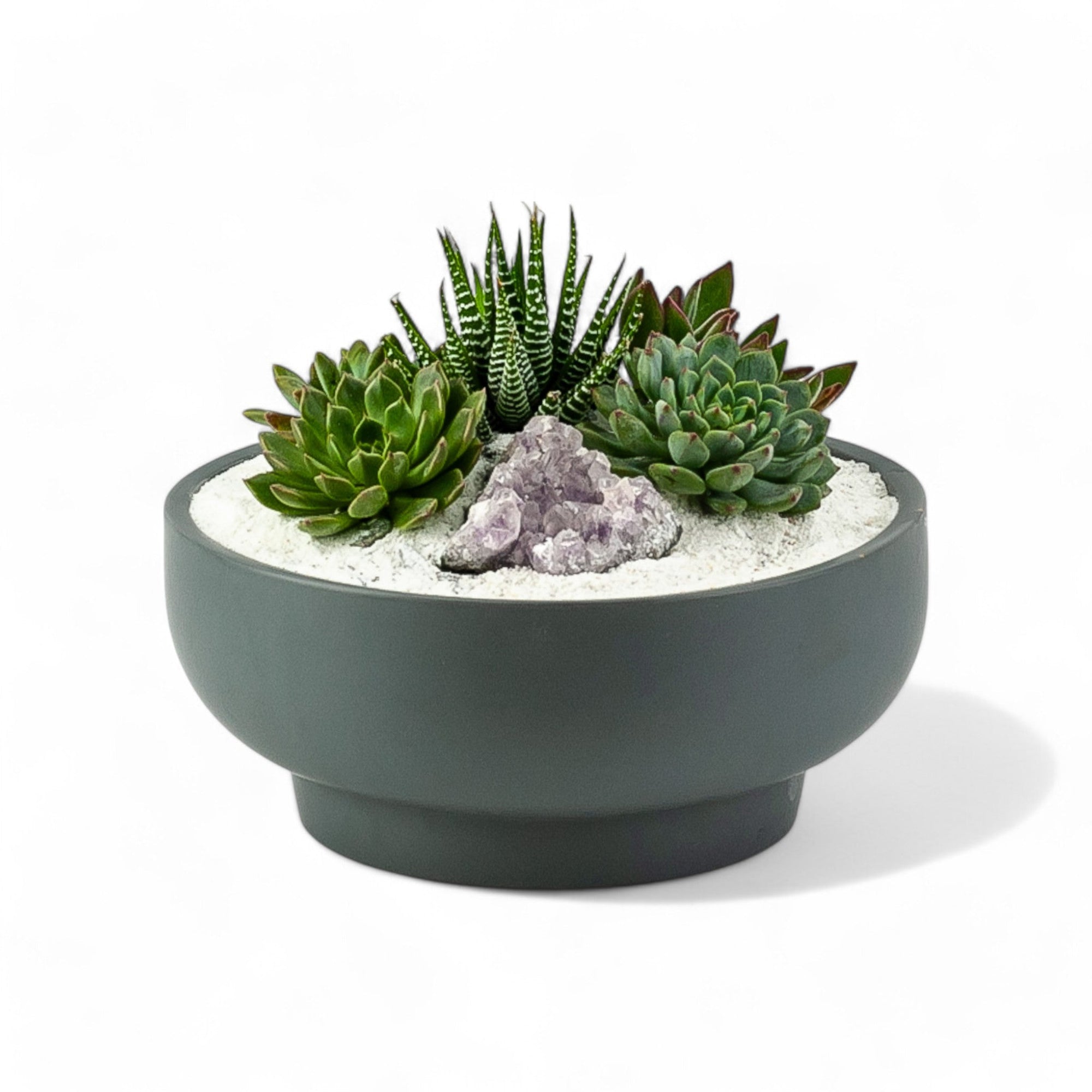 Granite Crystal Succulent Garden - Green Fresh Florals + Plants